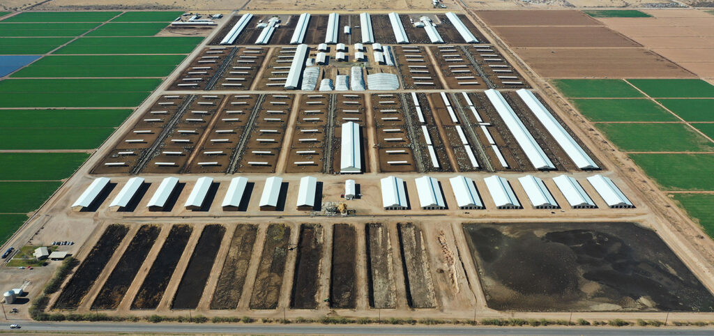 Agriculture